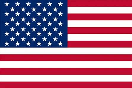 nadi-astrology-USA-online USA Flag